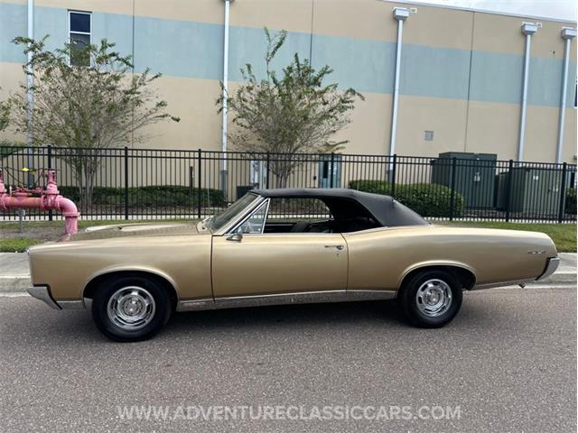 1967 Pontiac GTO (CC-2123198) for sale in Clearwater, Florida