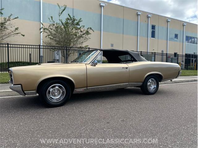 1967 Pontiac GTO (CC-2123198) for sale in Clearwater, Florida