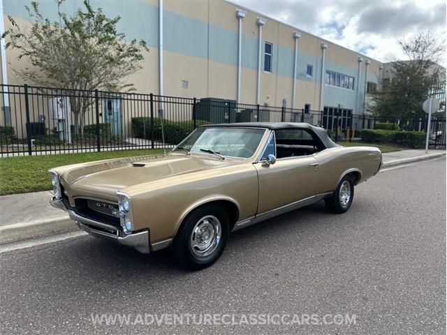 1967 Pontiac GTO (CC-2123198) for sale in Clearwater, Florida