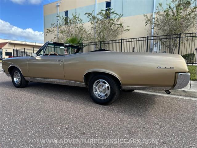 1967 Pontiac GTO (CC-2123198) for sale in Clearwater, Florida