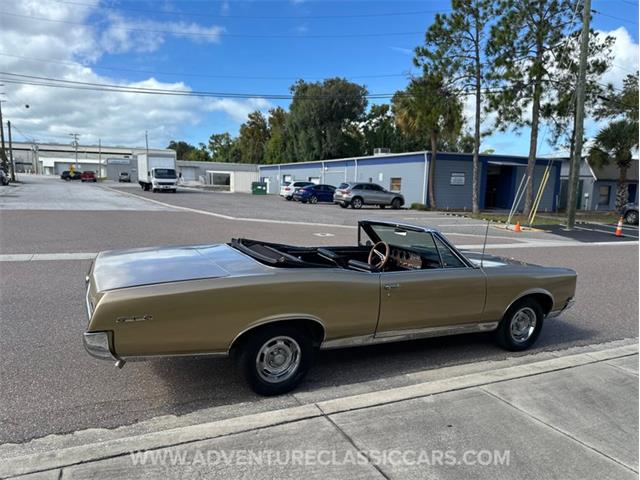 1967 Pontiac GTO (CC-2123198) for sale in Clearwater, Florida