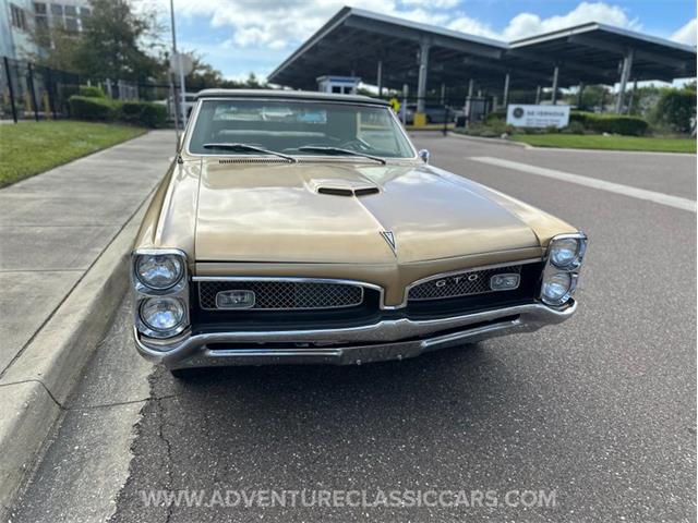 1967 Pontiac GTO (CC-2123198) for sale in Clearwater, Florida