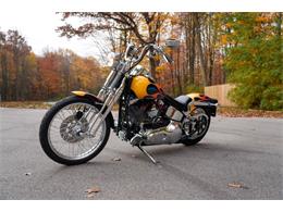 2003 Harley-Davidson Softail Springer (CC-2123267) for sale in Saugatuck, Michigan