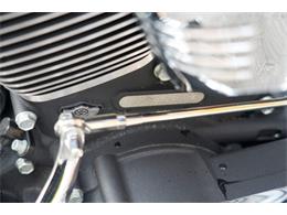 2003 Harley-Davidson Softail Springer (CC-2123267) for sale in Saugatuck, Michigan