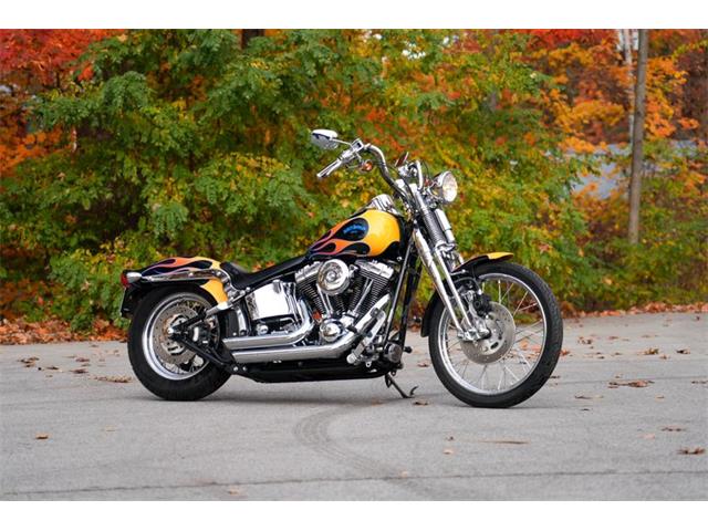 2003 Harley-Davidson Softail Springer (CC-2123267) for sale in Saugatuck, Michigan