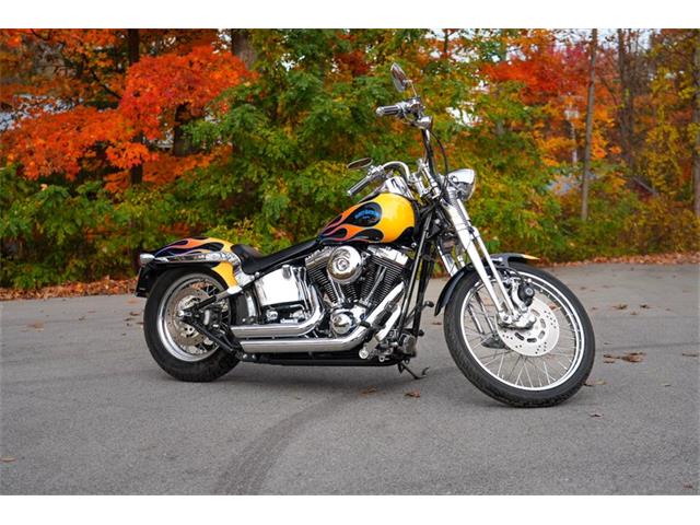 2003 Harley-Davidson Softail Springer (CC-2123267) for sale in Saugatuck, Michigan