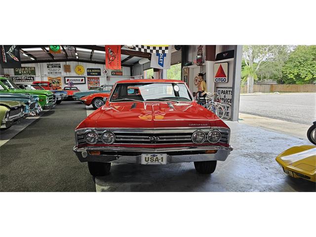 1967 Chevrolet Chevelle SS (CC-2123332) for sale in Hudson, Florida