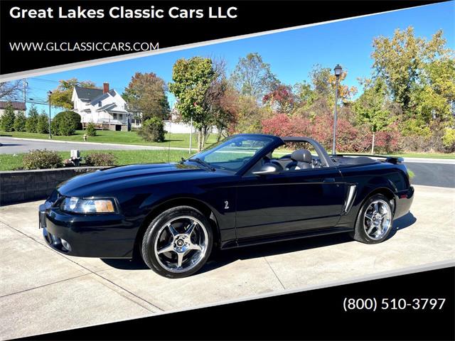 2001 Ford Mustang SVT Cobra (CC-2120359) for sale in Hilton, New York