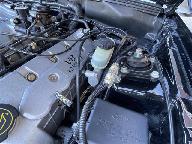 2001 Ford Mustang SVT Cobra (CC-2120359) for sale in Hilton, New York