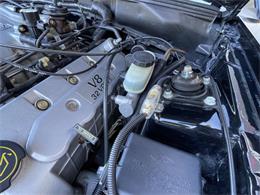 2001 Ford Mustang SVT Cobra (CC-2120359) for sale in Hilton, New York