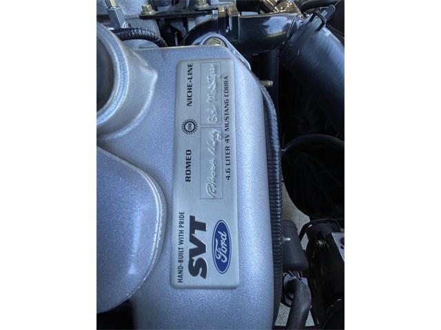 2001 Ford Mustang SVT Cobra (CC-2120359) for sale in Hilton, New York