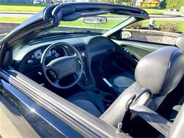 2001 Ford Mustang SVT Cobra (CC-2120359) for sale in Hilton, New York