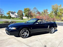 2001 Ford Mustang SVT Cobra (CC-2120359) for sale in Hilton, New York
