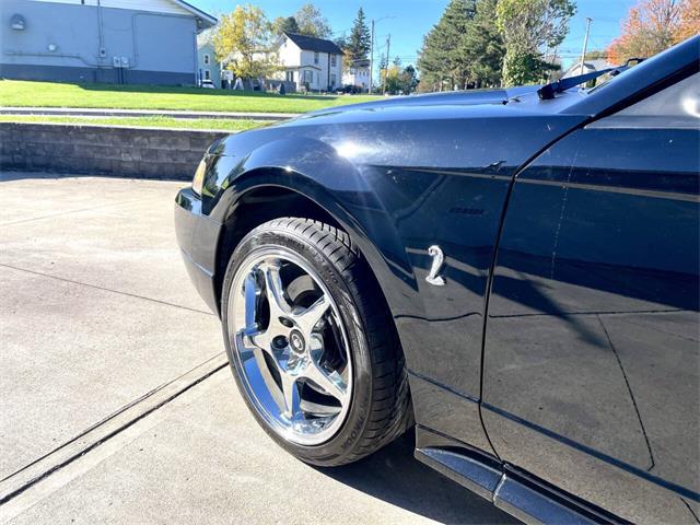 2001 Ford Mustang SVT Cobra (CC-2120359) for sale in Hilton, New York