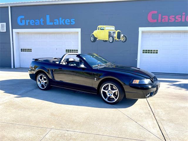2001 Ford Mustang SVT Cobra (CC-2120359) for sale in Hilton, New York