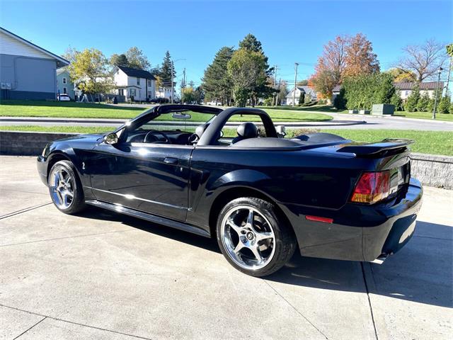 2001 Ford Mustang SVT Cobra (CC-2120359) for sale in Hilton, New York