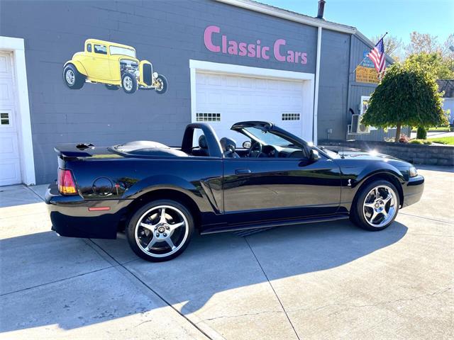 2001 Ford Mustang SVT Cobra (CC-2120359) for sale in Hilton, New York
