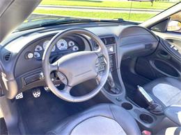 2001 Ford Mustang SVT Cobra (CC-2120359) for sale in Hilton, New York