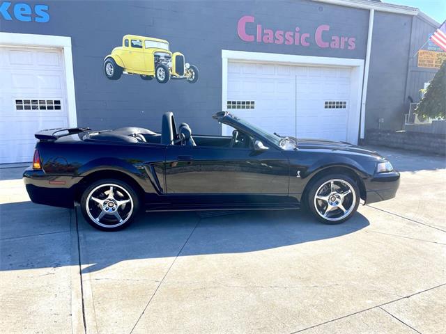 2001 Ford Mustang SVT Cobra (CC-2120359) for sale in Hilton, New York