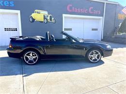 2001 Ford Mustang SVT Cobra (CC-2120359) for sale in Hilton, New York