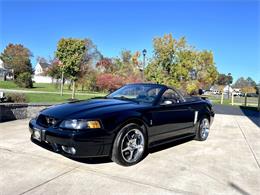 2001 Ford Mustang SVT Cobra (CC-2120359) for sale in Hilton, New York