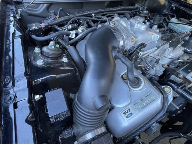 2001 Ford Mustang SVT Cobra (CC-2120359) for sale in Hilton, New York