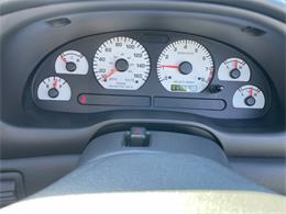 2001 Ford Mustang SVT Cobra (CC-2120359) for sale in Hilton, New York