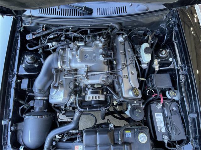 2001 Ford Mustang SVT Cobra (CC-2120359) for sale in Hilton, New York