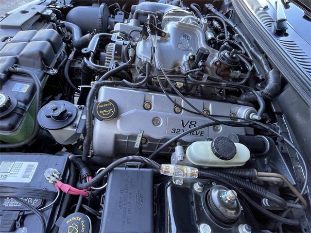 2001 Ford Mustang SVT Cobra (CC-2120359) for sale in Hilton, New York