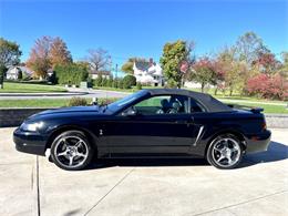 2001 Ford Mustang SVT Cobra (CC-2120359) for sale in Hilton, New York