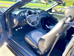 2001 Ford Mustang SVT Cobra (CC-2120359) for sale in Hilton, New York