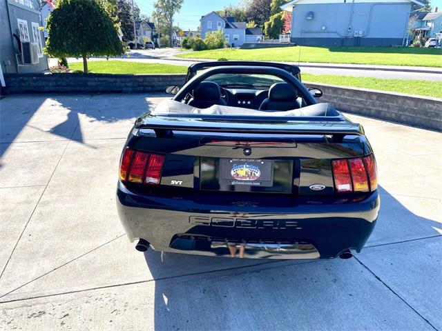 2001 Ford Mustang SVT Cobra (CC-2120359) for sale in Hilton, New York