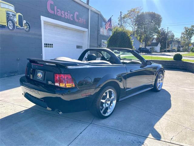 2001 Ford Mustang SVT Cobra (CC-2120359) for sale in Hilton, New York