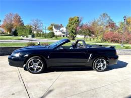 2001 Ford Mustang SVT Cobra (CC-2120359) for sale in Hilton, New York