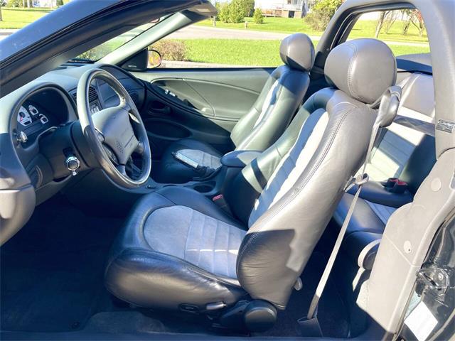2001 Ford Mustang SVT Cobra (CC-2120359) for sale in Hilton, New York