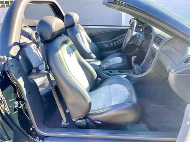 2001 Ford Mustang SVT Cobra (CC-2120359) for sale in Hilton, New York