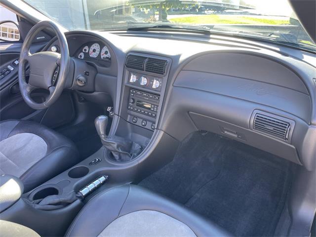 2001 Ford Mustang SVT Cobra (CC-2120359) for sale in Hilton, New York