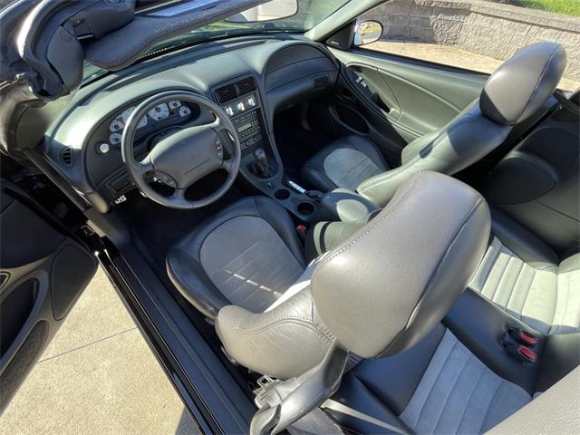 2001 Ford Mustang SVT Cobra (CC-2120359) for sale in Hilton, New York
