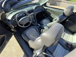 2001 Ford Mustang SVT Cobra (CC-2120359) for sale in Hilton, New York