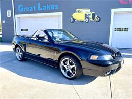 2001 Ford Mustang SVT Cobra (CC-2120359) for sale in Hilton, New York