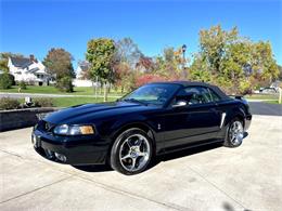 2001 Ford Mustang SVT Cobra (CC-2120359) for sale in Hilton, New York
