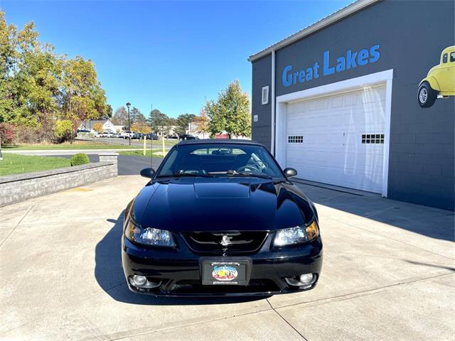 2001 Ford Mustang SVT Cobra (CC-2120359) for sale in Hilton, New York