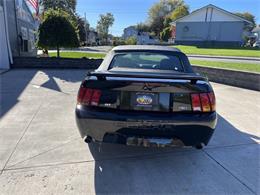 2001 Ford Mustang SVT Cobra (CC-2120359) for sale in Hilton, New York