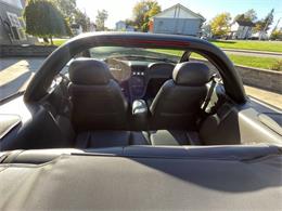 2001 Ford Mustang SVT Cobra (CC-2120359) for sale in Hilton, New York