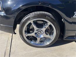 2001 Ford Mustang SVT Cobra (CC-2120359) for sale in Hilton, New York