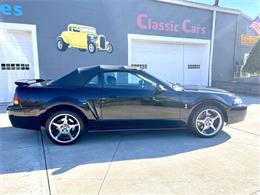 2001 Ford Mustang SVT Cobra (CC-2120359) for sale in Hilton, New York