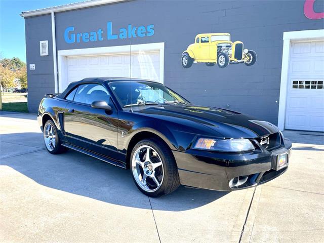 2001 Ford Mustang SVT Cobra (CC-2120359) for sale in Hilton, New York