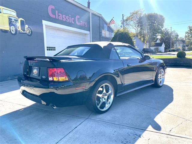 2001 Ford Mustang SVT Cobra (CC-2120359) for sale in Hilton, New York