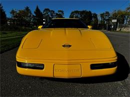 1991 Chevrolet Corvette (CC-2120522) for sale in Greensboro, North Carolina