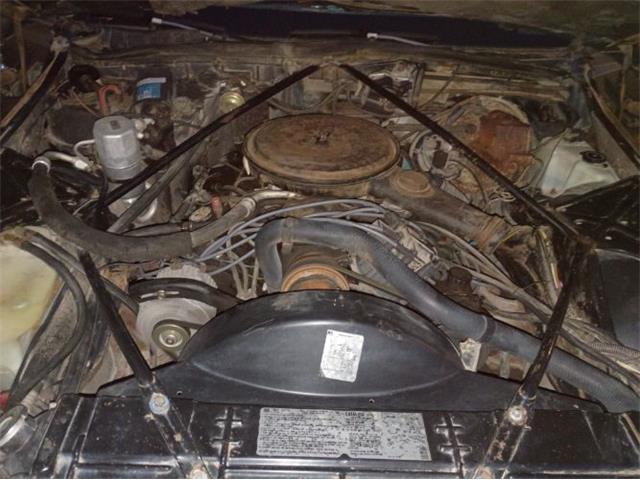 1979 Cadillac Coupe DeVille (CC-2120558) for sale in Cadillac, Michigan